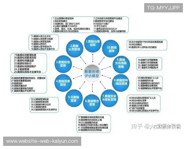 数据驱动决策文化普及，提升投资回报率